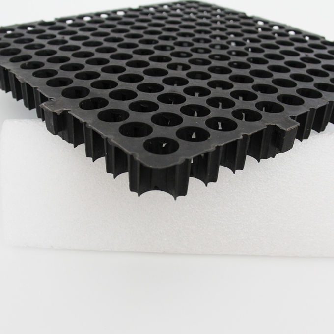 Roof 3M Width Non Toxic HDPE Dimple Drainage Board 2